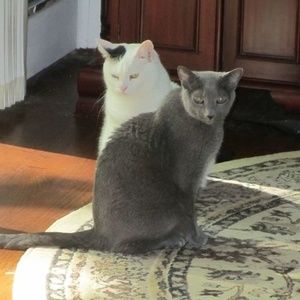 Meet your Posher, Julie